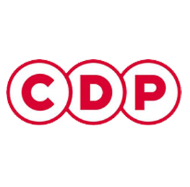 cdp (1)